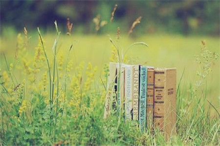 2020年黑龍江自考本科應(yīng)不應(yīng)該選擇容易通過的專業(yè)?