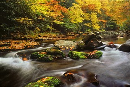 黑龍江自考人力資源管理專業(yè)考試科目有哪些?