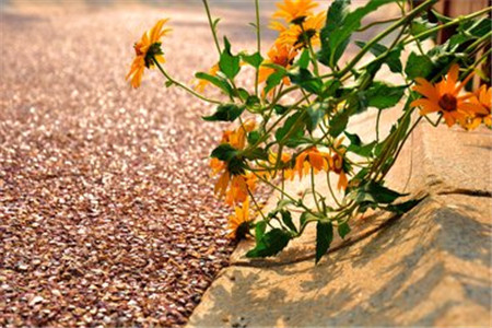 黑龍江自考本科能獲得學(xué)士學(xué)位嗎?